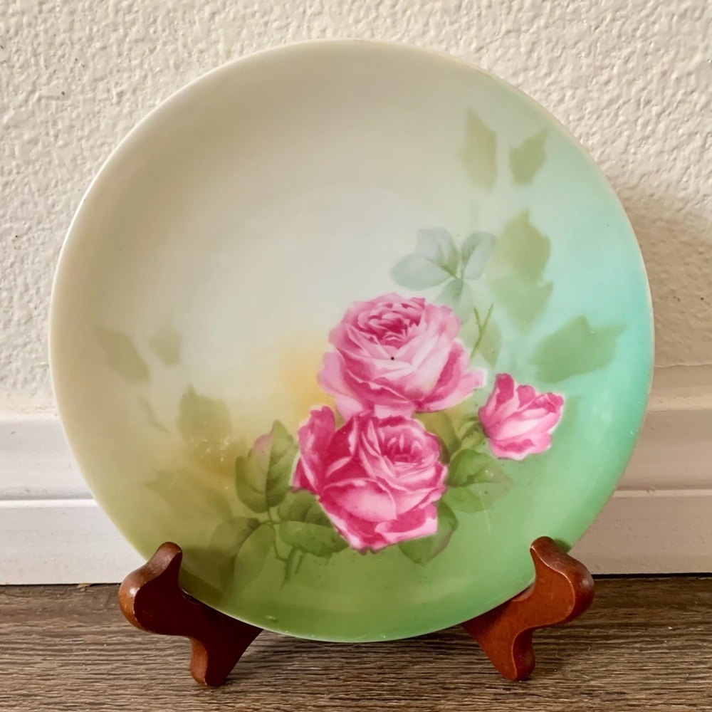 RS Prussia  German Hand painted  plate Germany 6.5”